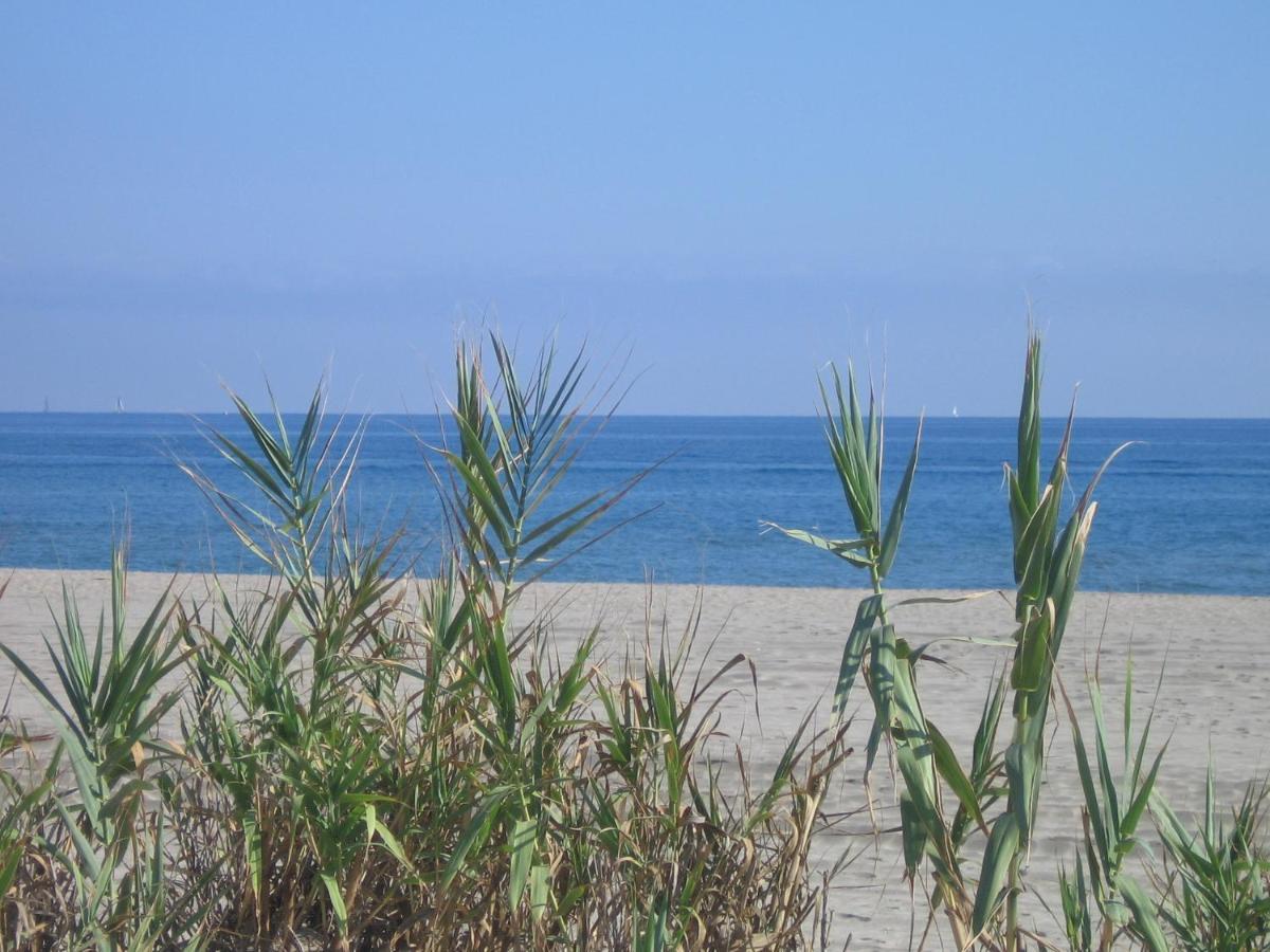 Studio vue sur la mer au 6ème et dernier étage Canet-en-Roussillon Exterior foto